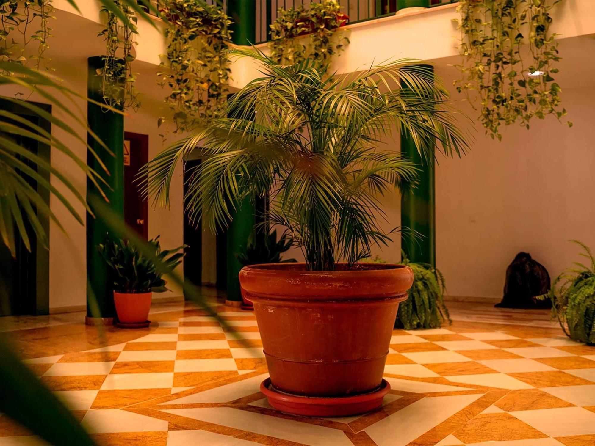 Apartamentos Vertice Bib Rambla Sevilla Eksteriør billede